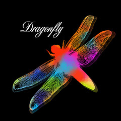 A rainbow dragonfly. Vector illustration