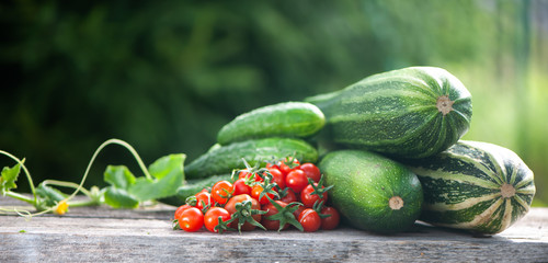 Harvest of zucchini, cucumbers and tomatoes, still life on natural garden background, space for text, banner.