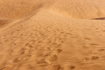 Footprints in the sandy desert. Texture background travel concept
