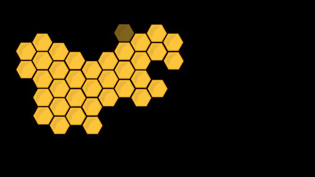 bee honeycomb. splash for web design. video illustration.