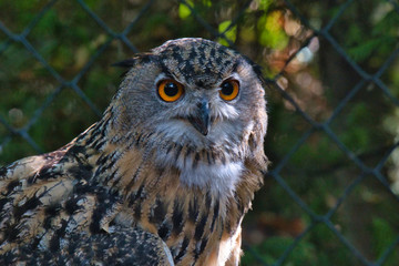 Parc des oiseaux