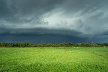 Fototapeta na wymiar Storm cell in the sky and green meadow