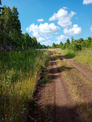 A field, suburban, forest road on the edge of the forest goes into the distance of the forest massif.