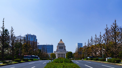 Fototapeta premium National Diet Building