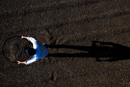 Aerial view of farmer working with sieve for coffee beans during production harvest in a small family coffee plantation. Fair trade storytelling concept. Top view and copy space template.