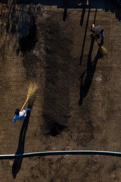 aerial view of farmer working with sieve for coffee beans during production harvest in a small family coffee plantation. Fair trade storytelling concept. Top view and copy space template.