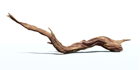 driftwood isolated on white background, twisted branch - obrazy, fototapety, plakaty