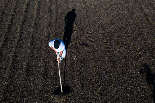 Aerial view of farmer working with scattering coffee beans during production harvest in a small family coffee plantation. Fair trade storytelling concept. Top view and copy space template.
