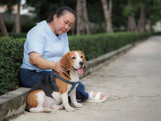 An elderly woman rested from the dog walking in the park, love pet concept