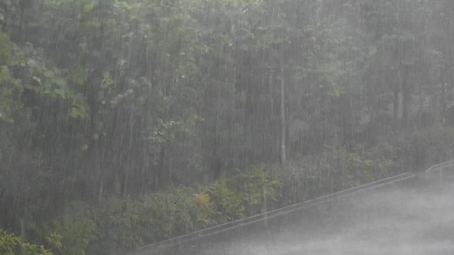 Heavy rain　～大雨