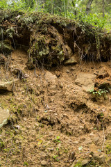 detail of soil in mountains