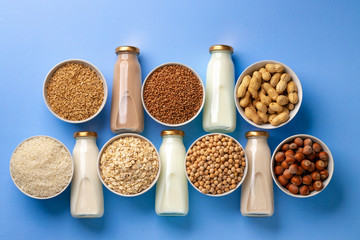 Assortment of vegetarian lactose free milk made of nuts and grains