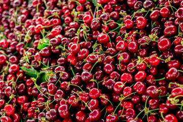 fresh cheery in the market