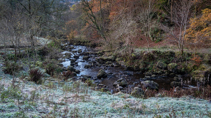 Frosty Autumnal morning in Campsie Glen in Scotland