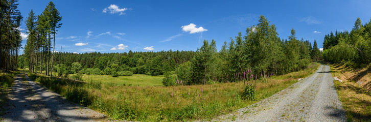 Fototapeta premium panorama gravel road in forest with meadow in between, white clo
