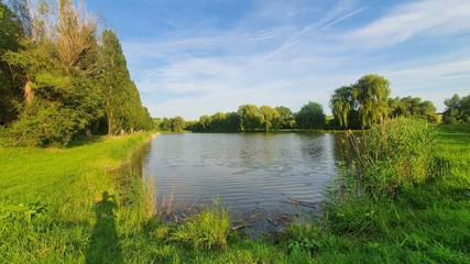 lake in the forest