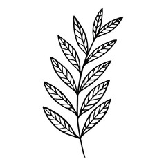 Autumn leaf vector graphic. Doodle line art element for design, decor, print, web, coloring books. Outline isolated foliage.