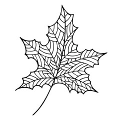 Naklejka premium Autumn leaf vector graphic. Doodle line art element for design, decor, print, web, coloring books. Outline isolated foliage.