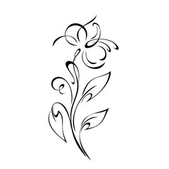 ornament 1266. decorative twig with one stylized flower, leaves and curls in black lines on a white background