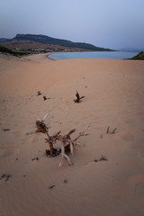 Bolonia dune at Cadiz province of Andalusia, Spain.