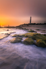 View from Trafalgar lighthouse at Cadiz province in Spain.	
