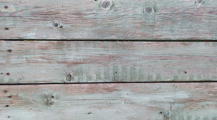 Fototapeta premium old wood texture