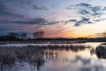 Obraz premium Colorful clouds after sunset on a lake with dry reeds
