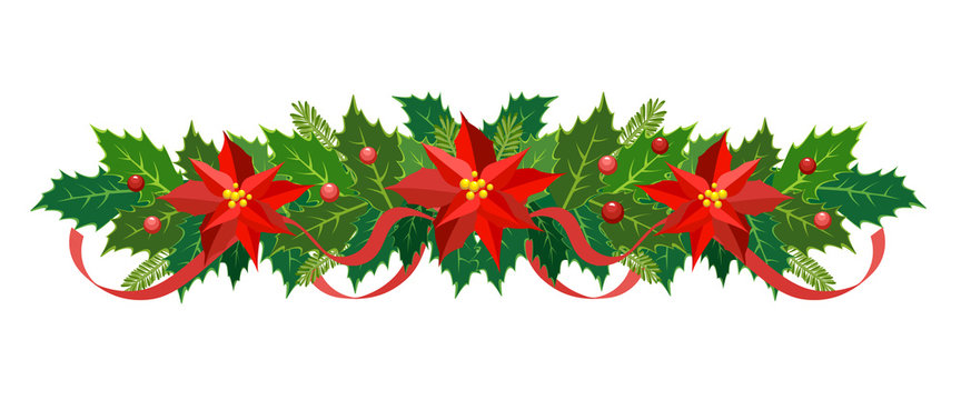 Christmas poinsettia and holly garland. Vector frame, border, decoration for xmas holiday cards, invitations, banners. Holly leaves and berries isolated on white background. Christmas floral displays.