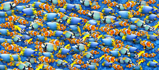 Seamless pattern with fishes. Colorful realistic background. Aquarium. Can be used for wallpaper, textiles, wrapping, card, cover.