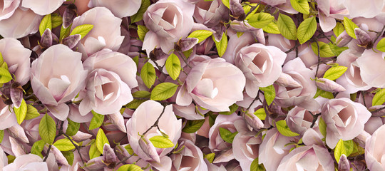 Magnolia flower pattern. Design background with soft oil painting effect