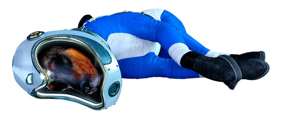 3D Rendering Astronaut Dog on White © photosvac