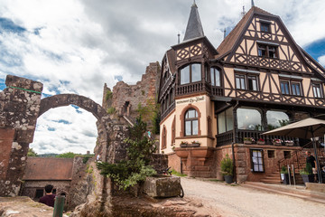 Fototapete bei efototapeten.de bestellen   