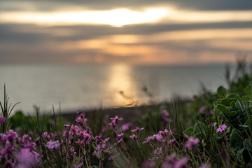 Beach shore on Italy.
