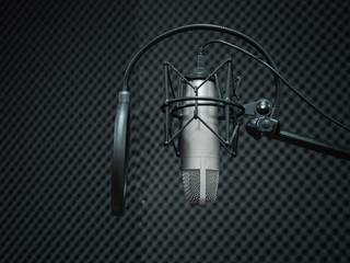Professional condenser studio microphone with shock mount and pop shield inside a booth with acoustic panels on the background.