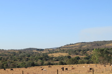 landscape in the mountains