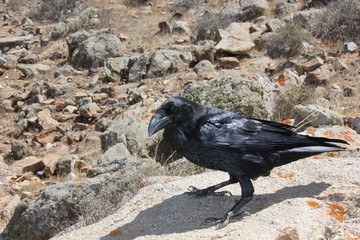 Fuerteventura Espagne Spain