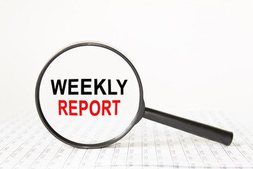 words in a magnifying glass on a white background. business concept