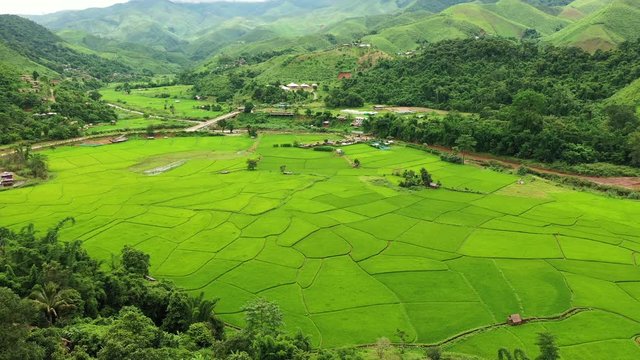 Aerial view of Beautiful green rice fields in Nan province, Thailand.