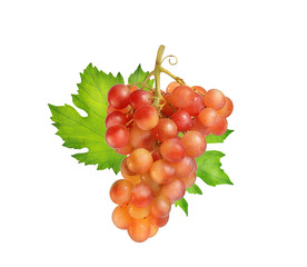 a bunch of pink grapes with green leaves on a white background