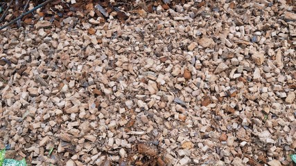 Coconut soft shell pieces pile preparing for garden fertilizer