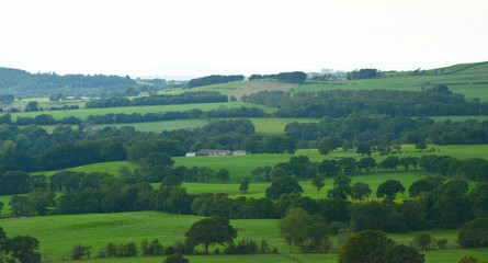 Obraz premium Beacon Fell, Lancashire, England, UK
