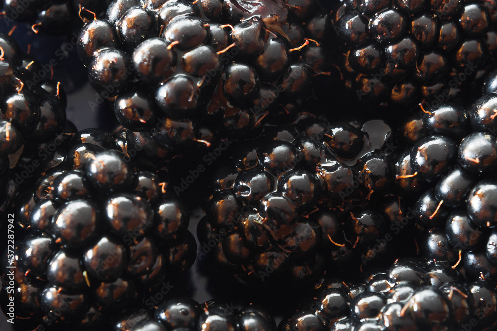 Wall mural Macro photo of blackberries. The concept of healthy eating. Postcard concep