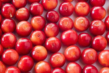 Macro photo of viburnum berries. The concept of healthy eating. Postcard concept