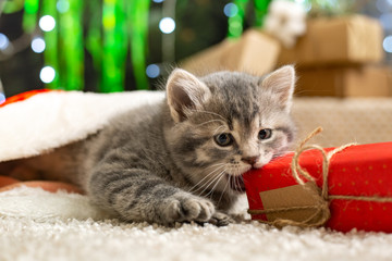 Christmas cat play with gift box. Beautiful little tabby kitten in red Santa Claus hat near Christmas gift boxes, decorations, chrismas tree. Happy New Year animal pet.