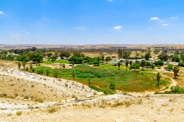 Fototapeta na wymiar Golda Meir Park in the Negev Desert