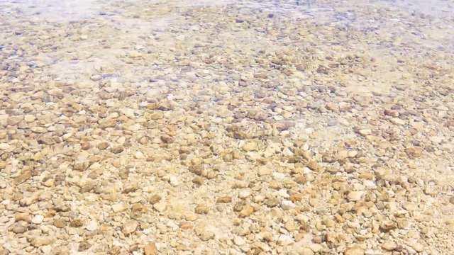 Rock pebbles located at the shore of South Biscayne Bay