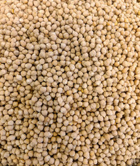 No shell peeled blanched roasted hazelnut background