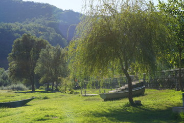 Green lawn on the river bank on a summer sunny day in Montenegro