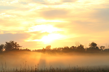 Naklejka premium Sunrise through Fog