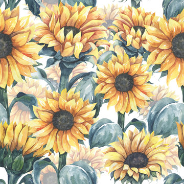 Watercolor floral pattern with different leaves and sunflowers. Floral  seamless pattern on white background.